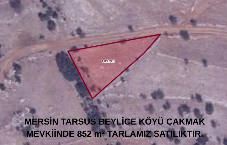 Fotoğraf